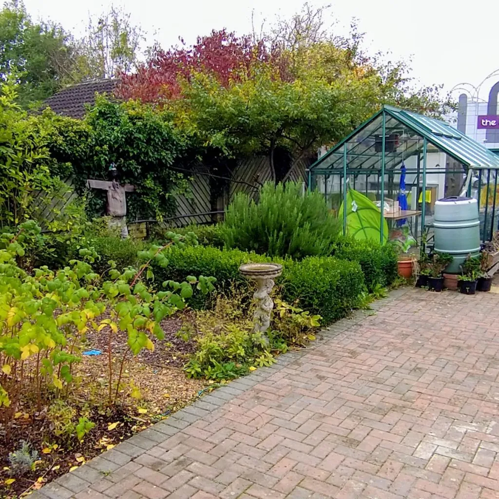 DSC_1236_2–1024×1024